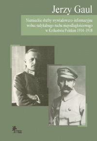 Okładka: Niemieckie służby wywiadowczo-informacyjne wobec radykalnego ruchu niepodległościowego w Królestwie Polskim 1914-1918